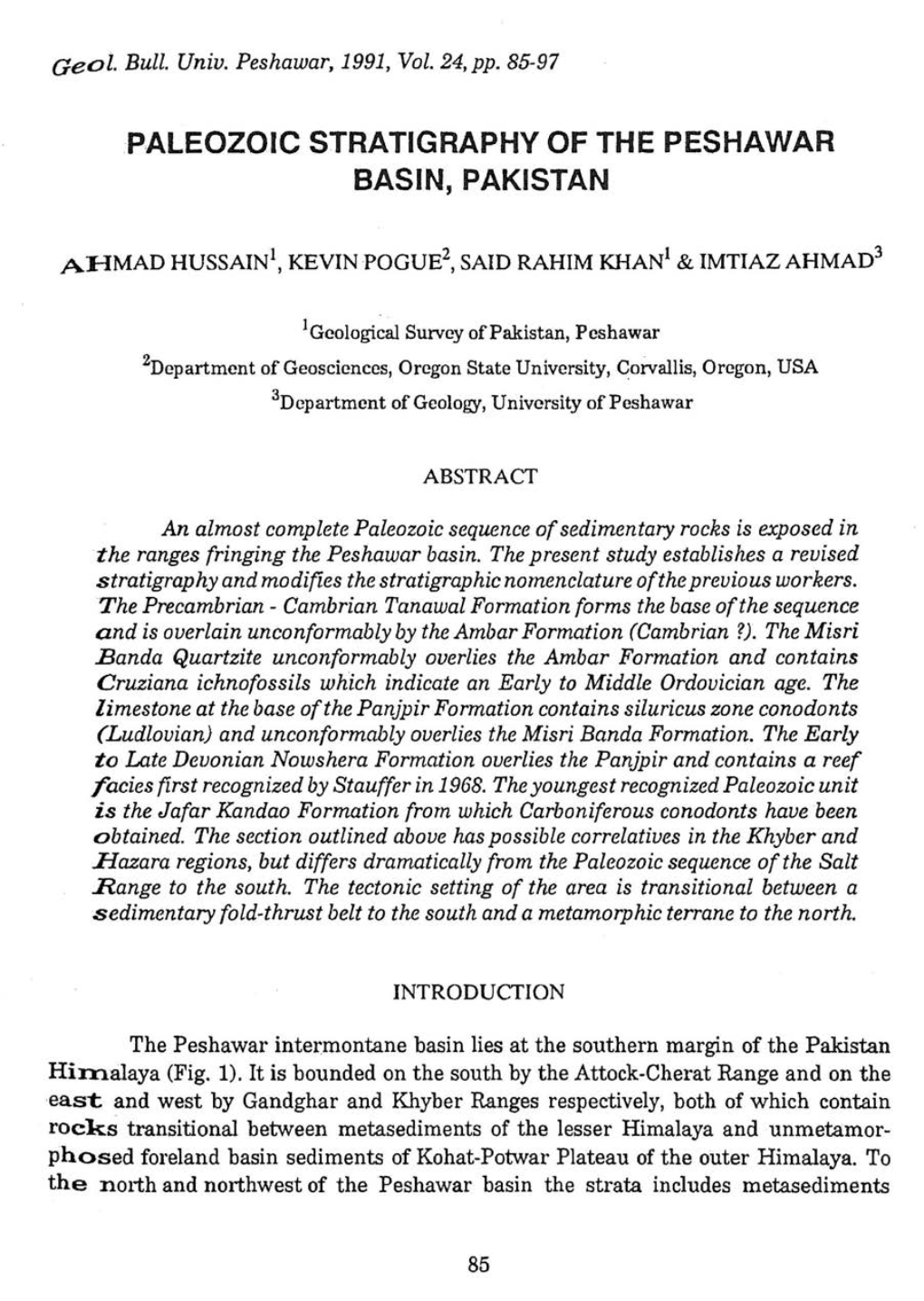 Paleozoic Stratigraphy of the Peshawar Basin, Pakistan