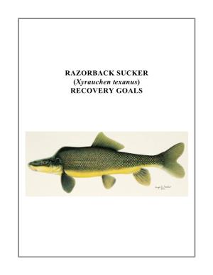 RAZORBACK SUCKER (Xyrauchen Texanus) RECOVERY GOALS