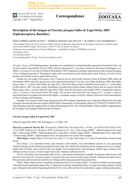 Zootaxa, Description of the Imagos of Cloeodes Jaragua Salles & Lugo