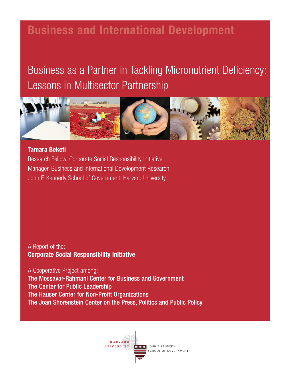 Business As a Partner in Tackling Micronutrient Deficiency: Lessons in Multisector Partnership