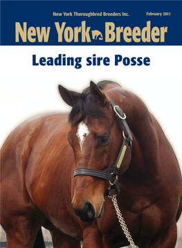 Leading Sire Posse