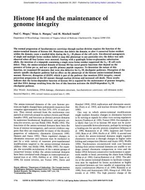 Histone H4 and the Maintenance of Genome Integrity