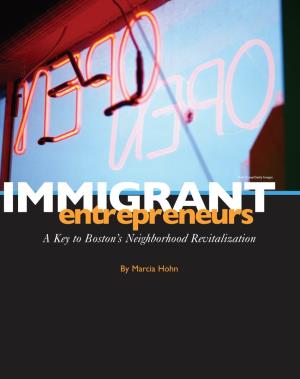 Immigrant Entrepreneurs and Stability Provided by the Immigrant-Owned Businesses