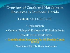Overview of Corals and Hardbottom Resources in Southeast Florida