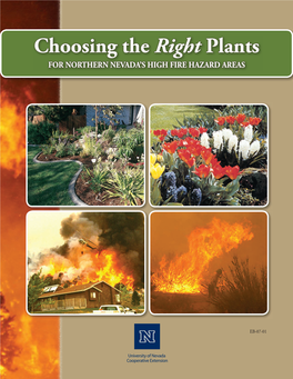 Choosing the Right Plants for NORTHERN NEVADA’S HIGH FIRE HAZARD AREAS