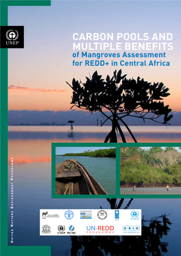 Carbon Pools and Multiple Benefits of Mangroves Assessment for REDD+ in Central Africa