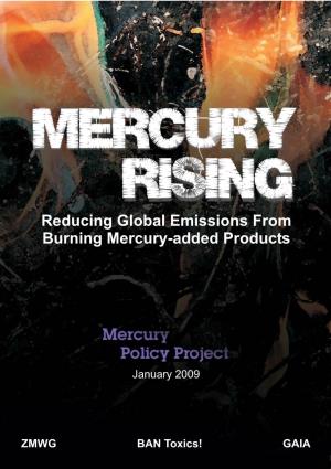 MERCURY RISING – Acknowledgements Page I a Report of the Mercury Policy Project