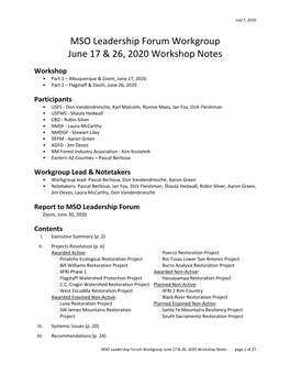 MSO Leadership Forum Workgroup June 17 & 26, 2020 Workshop Notes