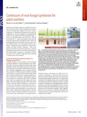 Continuum of Root–Fungal Symbioses for Plant Nutrition COMMENTARY Marcel G