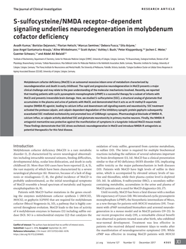 S-Sulfocysteine/NMDA Receptor–Dependent Signaling Underlies Neurodegeneration in Molybdenum Cofactor Deficiency