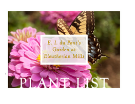 View Our Plant List Here