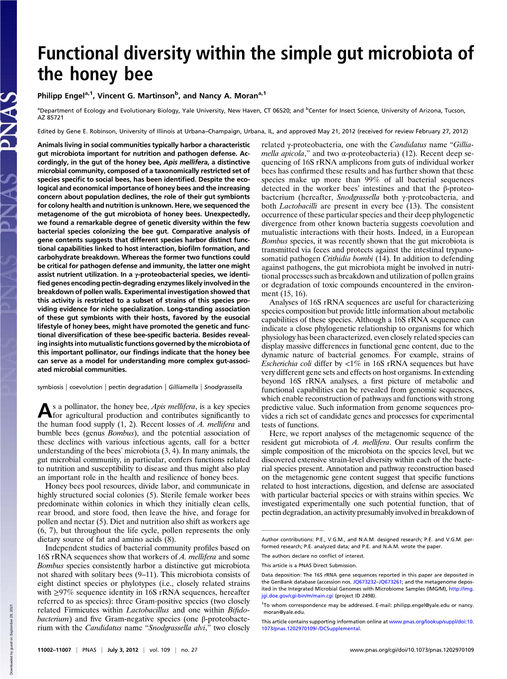 Functional Diversity Within the Simple Gut Microbiota of the Honey Bee