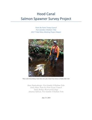 Hood Canal Salmon Spawner Survey Project