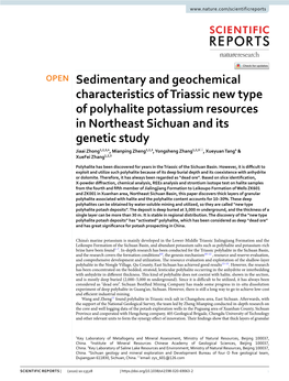 Sedimentary and Geochemical Characteristics of Triassic New Type