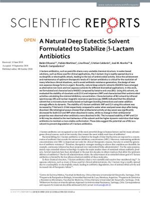 A Natural Deep Eutectic Solvent Formulated to Stabilize Β-Lactam