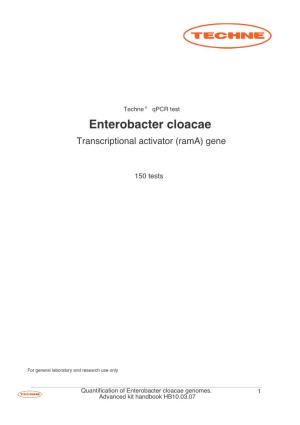 Enterobacter Cloacae Transcriptional Activator (Rama) Gene