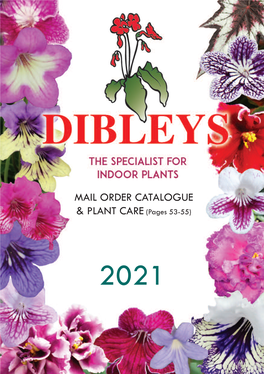 Mail Order Catalogue & Plant Care