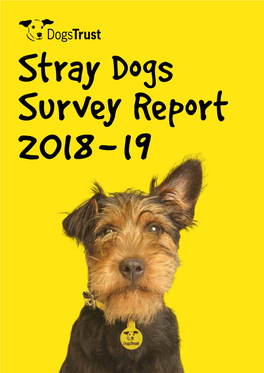 Stray Dogs Report 2018-19.Pdf
