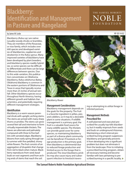 Blackberry: Identification and Management in Pasture and Rangeland by James M