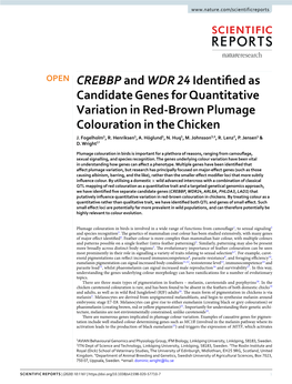 CREBBP and WDR 24 Identified As Candidate Genes for Quantitative