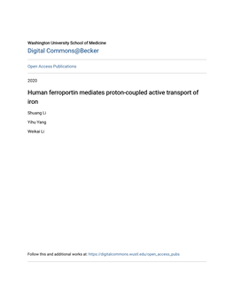 Human Ferroportin Mediates Proton-Coupled Active Transport of Iron