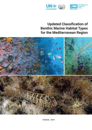 Updated Classification of Benthic Marine Habitat Types for The