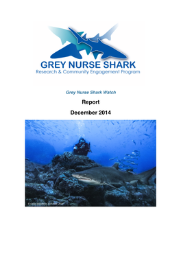 Report December 2014