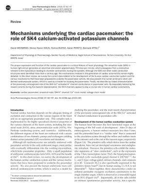 Mechanisms Underlying the Cardiac Pacemaker: the Role of SK4 Calcium-Activated Potassium Channels