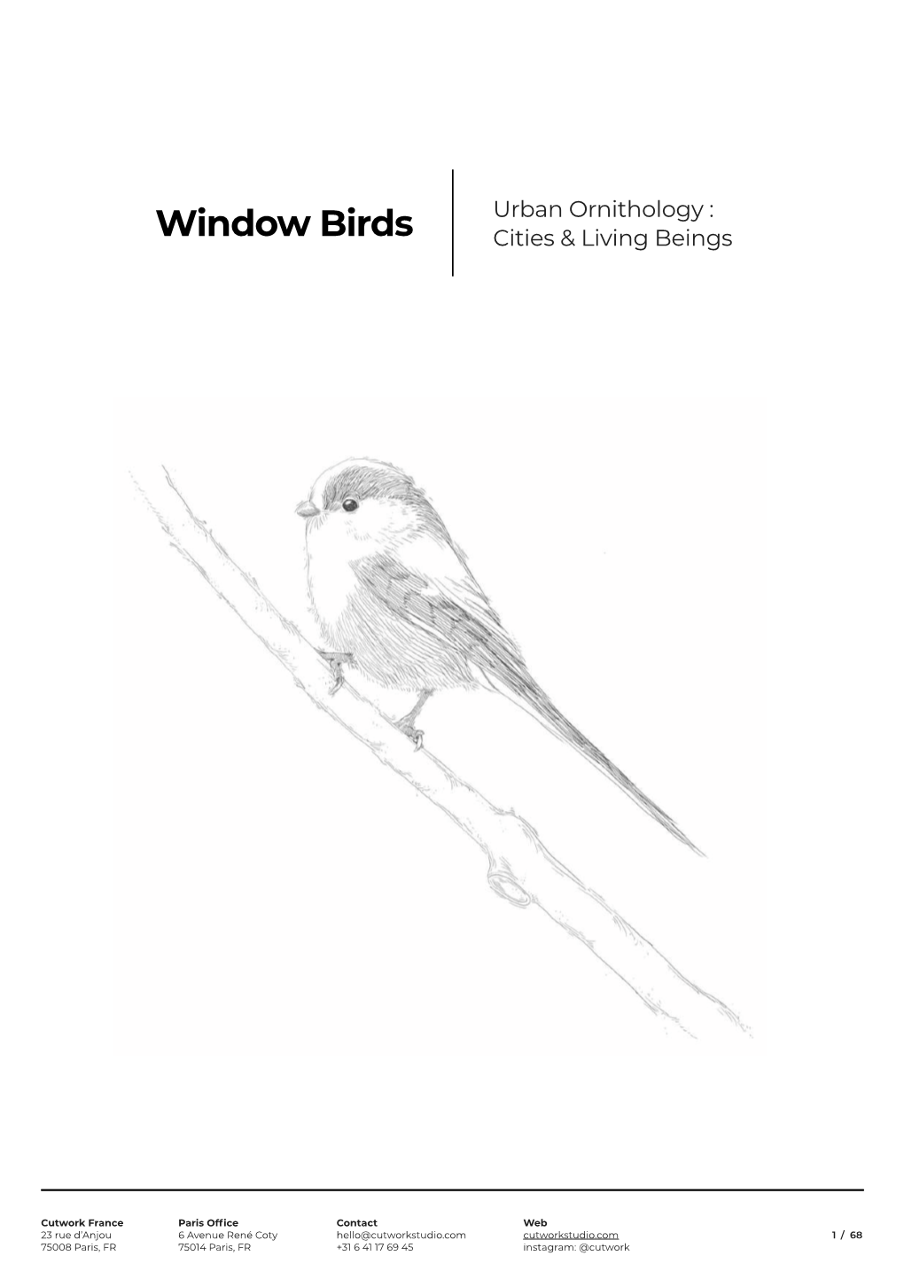 Window Birds, Cutwork, Paris 2020, ENG Hq