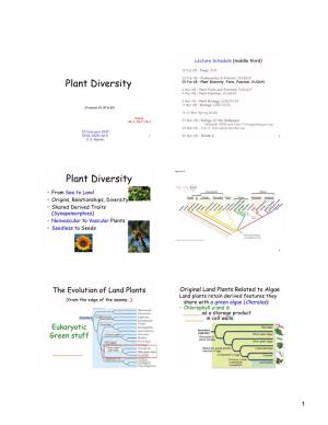 Plant Diversity Plant Diversity