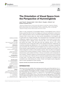 The Orientation of Visual Space from the Perspective of Hummingbirds