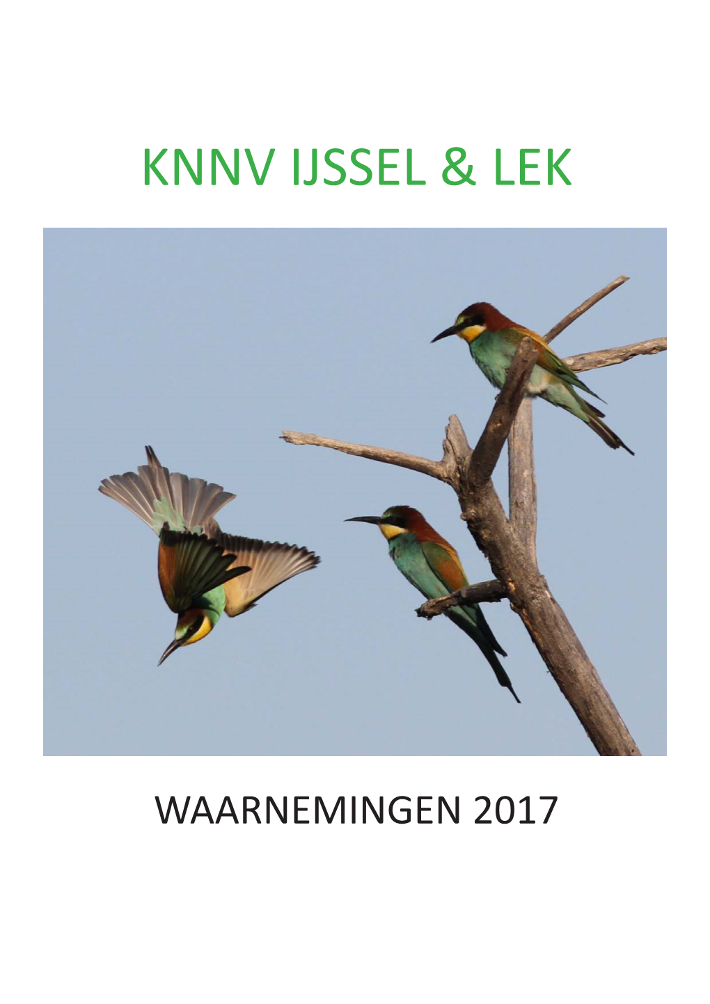 Waarnemingenlijst 2017.Pdf