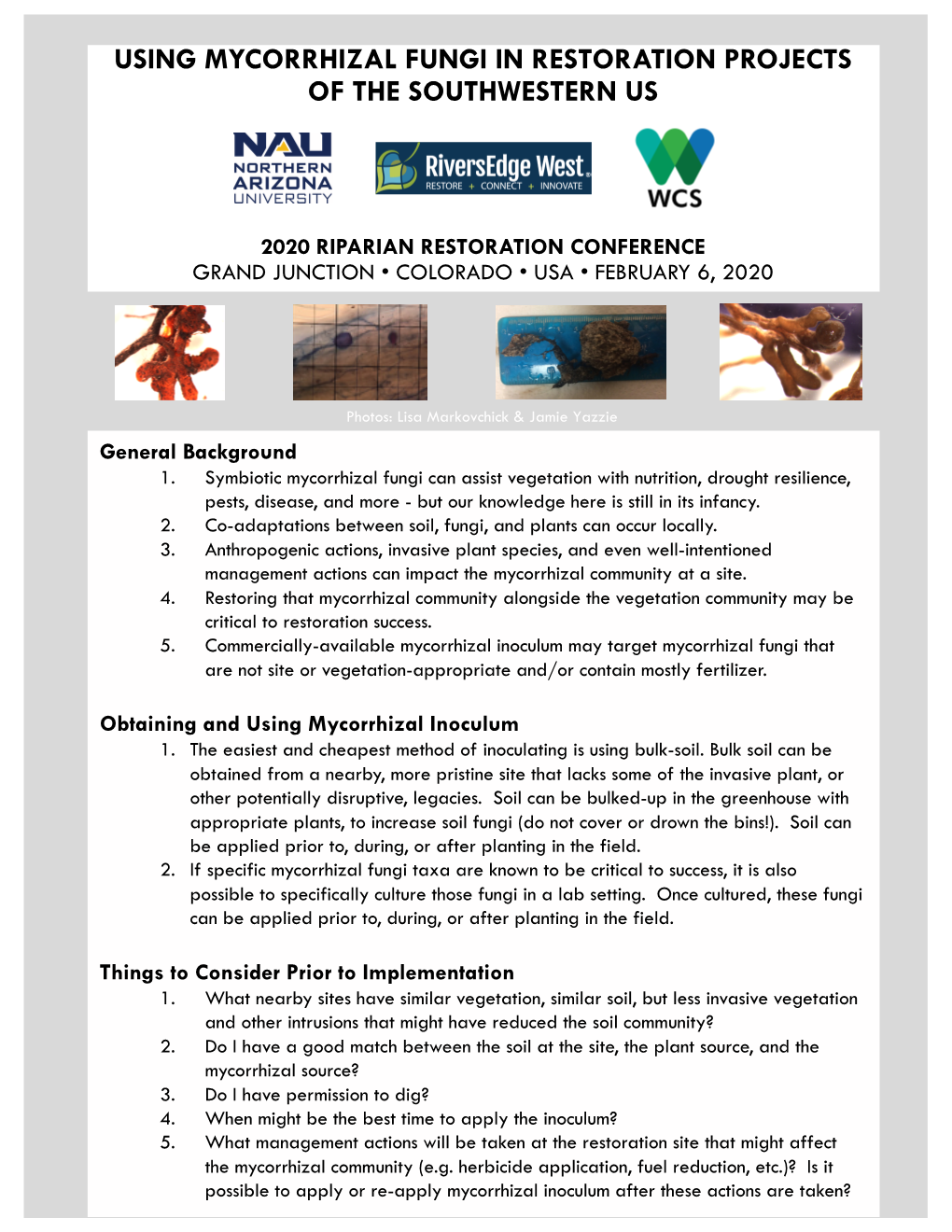 Using Mycorrhizal Fungi in Restoration Projects of the Southwestern Us