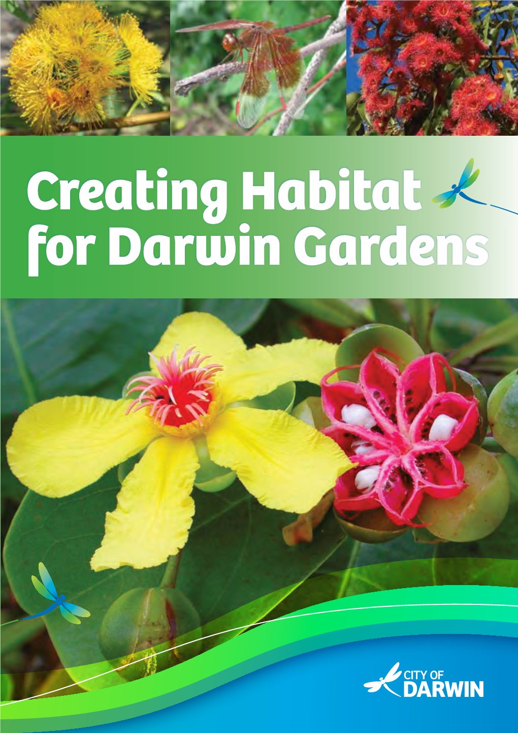 Creating Habitat for Darwin Gardens