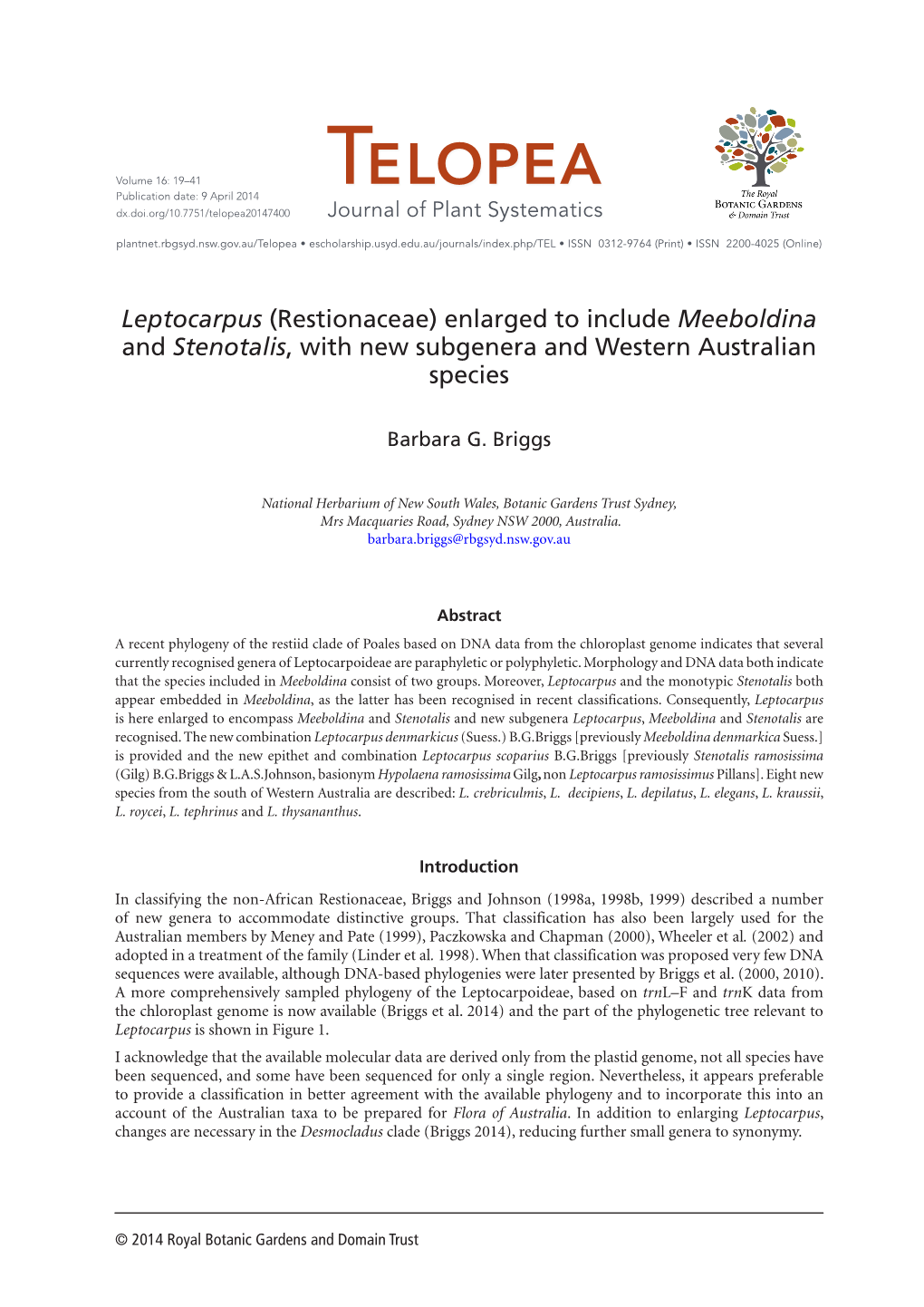 Leptocarpus (Restionaceae) Enlarged to Include Meeboldina and Stenotalis, with New Subgenera and Western Australian Species