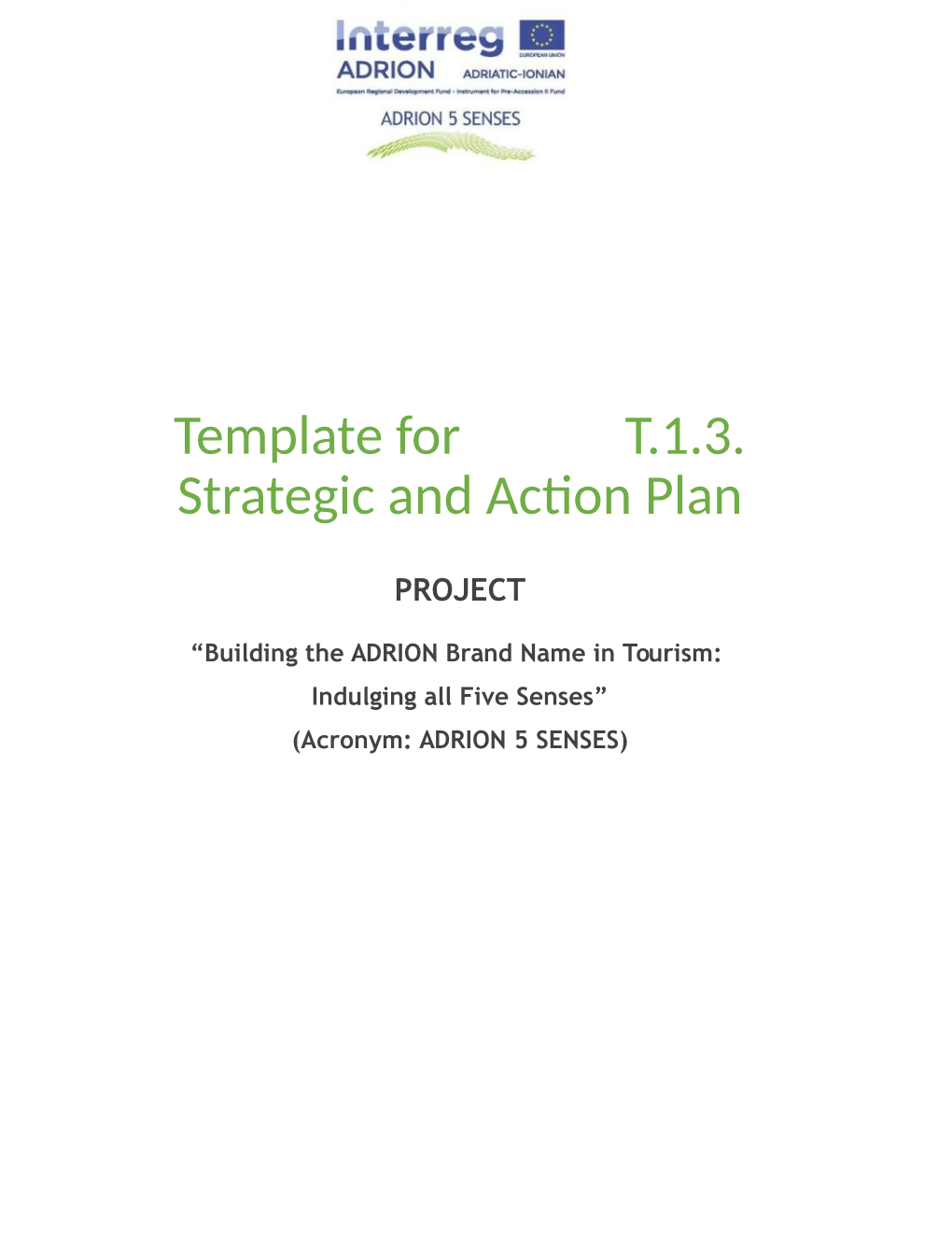 Template for T.1.3. Strategic and Action Plan