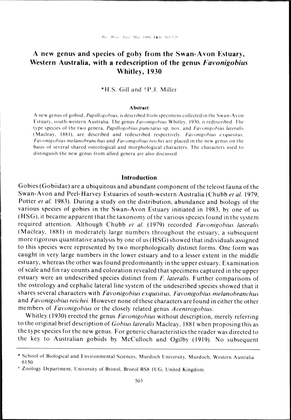 A New Genus and Species of Goby from the Swan-Avon Estuary, Western Australia, with a Redescription of the Genus Favonigobius Whitley, 1930