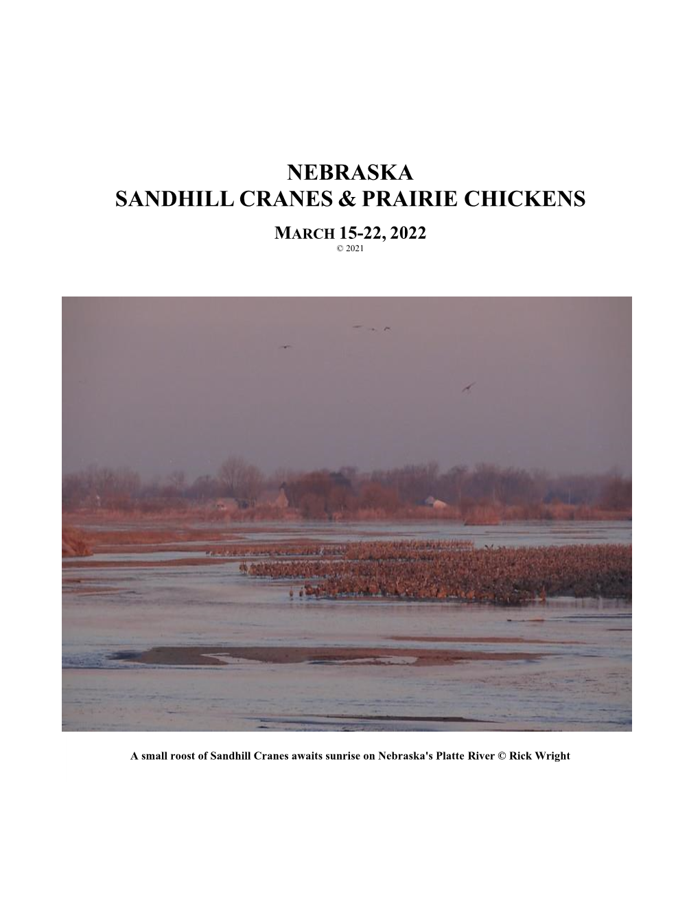 Nebraska Sandhill Cranes & Prairie Chickens