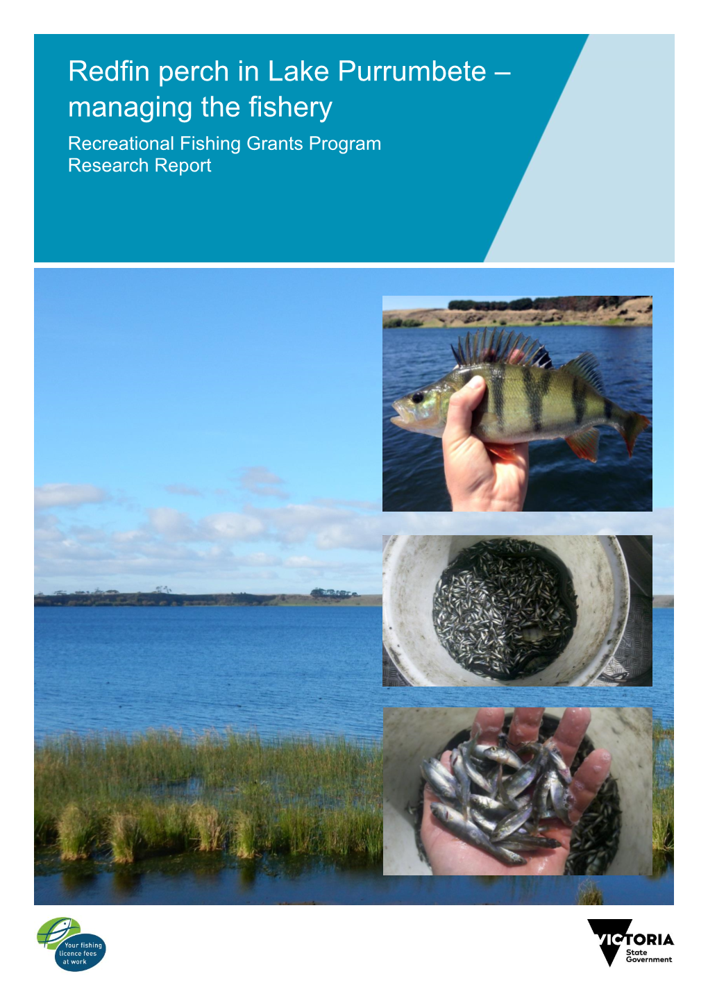 Redfin Perch in Lake Purrumbete – Managing the Fishery Recreational Fishing Grants Program Research Report