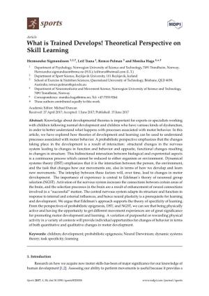 Theoretical Perspective on Skill Learning