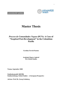 Master Thesis