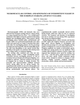 Neuromuscular Control and Kinematics of Intermittent Flight in the European Starling (Sturnus Vulgaris)