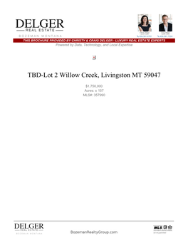 TBD-Lot 2 Willow Creek, Livingston MT 59047