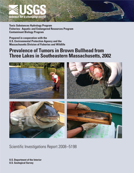 Prevalence of Tumors in Brown Bullhead from Three Lakes in Southeastern Massachusetts, 2002