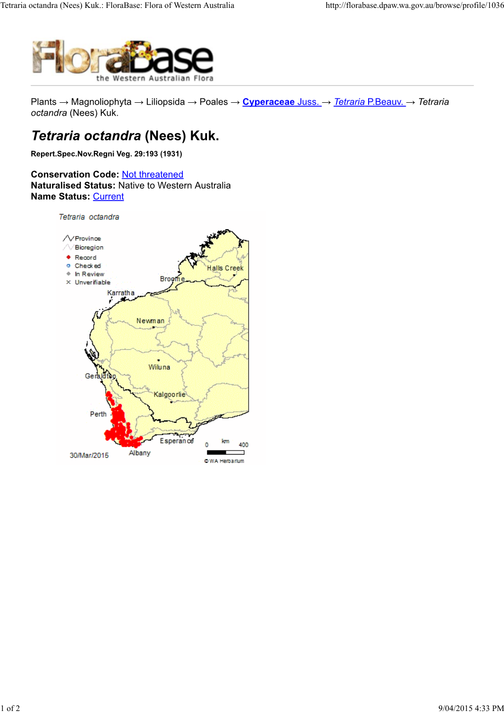 Tetraria Octandra (Nees) Kuk.: Florabase: Flora of Western Australia