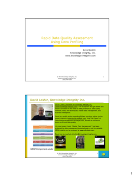 Rapid Data Quality Assessment Using Data Profiling