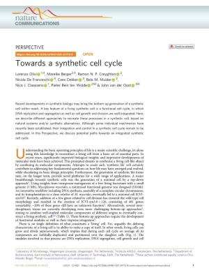 Towards a Synthetic Cell Cycle