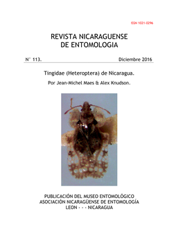 Tingidae (Heteroptera) De Nicaragua