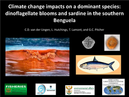 Dinoflagellate Blooms and Sardine in the Southern Benguela