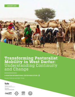 Transforming Pastoralist Mobility in West Darfur: Understanding Continuity and Change